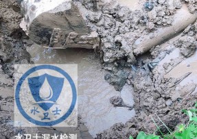 灵宝水管漏水检测公司5